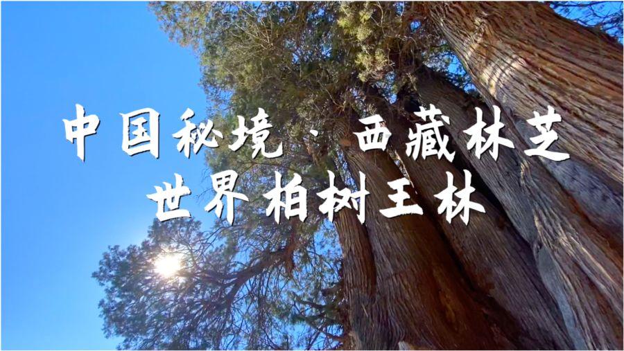 逃出古风住宅